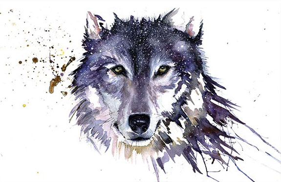 Art print - Sarah Stokes (Snow Wolf)
